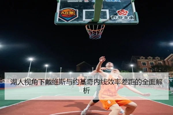 湖人视角下戴维斯与约基奇内线效率差距的全面解析 - 新闻资讯相关报道缩略图